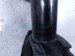 2024 Ford Mustang Front Driver Strut Absorber + Spring PR3C 18045 AF Replacement 2024 Ford Mustang Front Driver Strut Absorber + Spring PR3C 18045 AF Replacement thumbnail