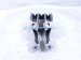 2024 Ford Mustang Engine/motor Driver Engine Mount Bracket 2.3l PR3Z 6031 A Replacement 2024 Ford Mustang Engine/motor Driver Engine Mount Bracket 2.3l PR3Z 6031 A Replacement thumbnail