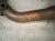 2019 Lexus Es300h Front Exhaust Pipe 2.5l Rwd 17410 25190 Replacement 2019 Lexus Es300h Front Exhaust Pipe 2.5l Rwd 17410 25190 Replacement thumbnail