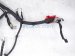 2024 Ford Mustang Battery Cable Wire Harness 2.3l PR3T 14B060 AG Replacement 2024 Ford Mustang Battery Cable Wire Harness 2.3l PR3T 14B060 AG Replacement thumbnail