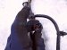 2018 Honda Clarity Engine Room Wire Harness 1.5l Fwd 32200 TRW A10 Replacement 2018 Honda Clarity Engine Room Wire Harness 1.5l Fwd 32200 TRW A10 Replacement thumbnail