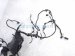 2024 Mazda Cx 50 Engine Room Wire Harness 2.5l Awd VA67 67 010B Replacement 2024 Mazda Cx 50 Engine Room Wire Harness 2.5l Awd VA67 67 010B Replacement thumbnail