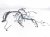 2024 Mazda Cx 50 Main Engine Wire Harness 2.5l Awd VA54 67 020 Replacement 2024 Mazda Cx 50 Main Engine Wire Harness 2.5l Awd VA54 67 020 Replacement thumbnail