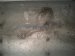 2024 Ford Mustang Rear Dual Exhaust Muffler 2.3t Rwd PR3Z 5230 BE Replacement 2024 Ford Mustang Rear Dual Exhaust Muffler 2.3t Rwd PR3Z 5230 BE Replacement thumbnail