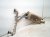 2018 Infiniti Qx80 Rear Exhaust Muffler W/pipe 5.6l 4x2 20100 5ZM0E Replacement 2018 Infiniti Qx80 Rear Exhaust Muffler W/pipe 5.6l 4x2 20100 5ZM0E Replacement thumbnail