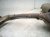 2018 Infiniti Qx80 Rear Exhaust Muffler W/pipe 5.6l 4x2 20100 5ZM0E Replacement 2018 Infiniti Qx80 Rear Exhaust Muffler W/pipe 5.6l 4x2 20100 5ZM0E Replacement thumbnail