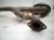 2018 Infiniti Qx80 Rear Exhaust Muffler W/pipe 5.6l 4x2 20100 5ZM0E Replacement 2018 Infiniti Qx80 Rear Exhaust Muffler W/pipe 5.6l 4x2 20100 5ZM0E Replacement thumbnail