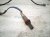 2001 Lexus Ls430 Rear Exhaust Oxygen Sensor 89465 50140 Replacement 2001 Lexus Ls430 Rear Exhaust Oxygen Sensor 89465 50140 Replacement thumbnail