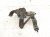 2002 Lexus Sc430 Rear Driver Height Level Sensor 89408 24060 Replacement 2002 Lexus Sc430 Rear Driver Height Level Sensor 89408 24060 Replacement thumbnail