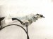 2023 Toyota Sienna Rear Driver Door Lock Actuator W/ Cables 85016 08020 Replacement 2023 Toyota Sienna Rear Driver Door Lock Actuator W/ Cables 85016 08020 Replacement thumbnail