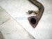 2019 Honda FIT Muffler Exhaust Pipe (b) W/ Resonator 1.5l 18220 T5R A52 Replacement 2019 Honda FIT Muffler Exhaust Pipe (b) W/ Resonator 1.5l 18220 T5R A52 Replacement thumbnail