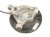 2023 Nissan Murano Axle Stub Rear Passenger Spindle Knuckle Hub Fwd 43021 1AA0A Replacement 2023 Nissan Murano Axle Stub Rear Passenger Spindle Knuckle Hub Fwd 43021 1AA0A Replacement thumbnail