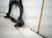 2023 Nissan Murano Crossmember Front Engine Sub Frame / Cradle 54400 3KD4B Replacement 2023 Nissan Murano Crossmember Front Engine Sub Frame / Cradle 54400 3KD4B Replacement thumbnail