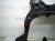 2023 Nissan Murano Crossmember Front Engine Sub Frame / Cradle 54400 3KD4B Replacement 2023 Nissan Murano Crossmember Front Engine Sub Frame / Cradle 54400 3KD4B Replacement thumbnail