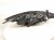 2023 Nissan Murano Headlight Driver Headlamp / Light 26060 9UF0E Replacement 2023 Nissan Murano Headlight Driver Headlamp / Light 26060 9UF0E Replacement thumbnail