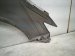 2023 Nissan Murano Front Driver Fender Grey 63101 5AA0A Replacement 2023 Nissan Murano Front Driver Fender Grey 63101 5AA0A Replacement thumbnail