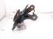 Sold 2025 Honda CR V Front Driver Spindle Knuckle Hub Awd 51216 3D4 A02 Replacement Sold 2025 Honda CR V Front Driver Spindle Knuckle Hub Awd 51216 3D4 A02 Replacement thumbnail