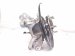 2025 Honda CR V Axle Stub Rear Driver Spindle Knuckle Hub Awd 52215 3A0 A00 Replacement 2025 Honda CR V Axle Stub Rear Driver Spindle Knuckle Hub Awd 52215 3A0 A00 Replacement thumbnail