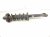 2016 Honda Accord Rear Passenger Strut Absorber + Spring 52611 T2F A12 Replacement 2016 Honda Accord Rear Passenger Strut Absorber + Spring 52611 T2F A12 Replacement thumbnail