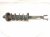 2016 Honda Accord Rear Driver Strut Absorber + Spring 52611 T2F A12 Replacement 2016 Honda Accord Rear Driver Strut Absorber + Spring 52611 T2F A12 Replacement thumbnail