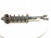 2016 Honda Accord Rear Driver Strut Absorber + Spring 52611 T2F A12 Replacement 2016 Honda Accord Rear Driver Strut Absorber + Spring 52611 T2F A12 Replacement thumbnail