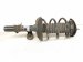 2016 Honda Accord Front Driver Strut Absorber + Spring 51620 T2F A12 Replacement 2016 Honda Accord Front Driver Strut Absorber + Spring 51620 T2F A12 Replacement thumbnail