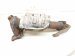 2016 Honda Accord Exhaust Manifold 18190 5A3 L00 Replacement 2016 Honda Accord Exhaust Manifold 18190 5A3 L00 Replacement thumbnail