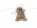 2016 Honda Accord Exhaust Manifold 18190 5A3 L00 Replacement 2016 Honda Accord Exhaust Manifold 18190 5A3 L00 Replacement thumbnail