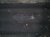 2016 Honda Accord Gas / Fuel Tank 17044 T2A L00 Replacement 2016 Honda Accord Gas / Fuel Tank 17044 T2A L00 Replacement thumbnail