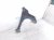 2016 Honda Accord Front Driver Fender Black *dent 60261 T2F A90ZZ Replacement 2016 Honda Accord Front Driver Fender Black *dent 60261 T2F A90ZZ Replacement thumbnail