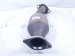 2018 Toyota Sienna Catalytic Center Exhaust Pipe W/conv 3.5l Fwd 17420 0P471 Replacement 2018 Toyota Sienna Catalytic Center Exhaust Pipe W/conv 3.5l Fwd 17420 0P471 Replacement thumbnail