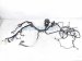 2022 Honda Odyssey Engine Room Harness W/fuse 3.5l Fwd 32100 THR A13 Replacement 2022 Honda Odyssey Engine Room Harness W/fuse 3.5l Fwd 32100 THR A13 Replacement thumbnail