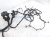 2022 Honda Odyssey Engine Room Harness W/fuse 3.5l Fwd 32100 THR A13 Replacement 2022 Honda Odyssey Engine Room Harness W/fuse 3.5l Fwd 32100 THR A13 Replacement thumbnail