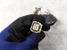 2022 Honda Odyssey Engine Room Harness W/fuse 3.5l Fwd 32100 THR A13 Replacement 2022 Honda Odyssey Engine Room Harness W/fuse 3.5l Fwd 32100 THR A13 Replacement thumbnail