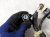 2022 Honda Odyssey Engine Room Harness W/fuse 3.5l Fwd 32100 THR A13 Replacement 2022 Honda Odyssey Engine Room Harness W/fuse 3.5l Fwd 32100 THR A13 Replacement thumbnail