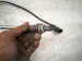 2023 Volkswagen Golf Rear Exhaust Oxygen Sensor 06K 906 262 DM Replacement 2023 Volkswagen Golf Rear Exhaust Oxygen Sensor 06K 906 262 DM Replacement thumbnail