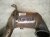 2023 Audi A3 Audi Catalytic Converter Exhaust Pipe 5WA 254 501 A Replacement 2023 Audi A3 Audi Catalytic Converter Exhaust Pipe 5WA 254 501 A Replacement thumbnail