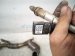 2023 Audi A3 Audi Oxygen Sensor 2.0l 06K 906 262 DB Replacement 2023 Audi A3 Audi Oxygen Sensor 2.0l 06K 906 262 DB Replacement thumbnail