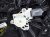 2024 Mercedes Eqb300 Front Driver Window Regulator & Motor 247 720 19 06 Replacement 2024 Mercedes Eqb300 Front Driver Window Regulator & Motor 247 720 19 06 Replacement thumbnail