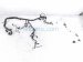 2024 Ford Mustang Main Engine Wire Harness 2.3t Rwd PU5T 12C508 UF Replacement 2024 Ford Mustang Main Engine Wire Harness 2.3t Rwd PU5T 12C508 UF Replacement thumbnail