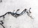 2024 Ford Mustang Main Engine Wire Harness 2.3t Rwd PU5T 12C508 UF Replacement 2024 Ford Mustang Main Engine Wire Harness 2.3t Rwd PU5T 12C508 UF Replacement thumbnail