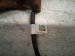 2021 Ford Ranger Front Upper Oxygen Sensor 2.3l KB3G 9Y460 AB Replacement 2021 Ford Ranger Front Upper Oxygen Sensor 2.3l KB3G 9Y460 AB Replacement thumbnail