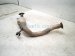 2016 Toyota 4 Runner Catalytic Driver Exhaust Pipe W Conv 4.0l 4x2 17450 31190 Replacement 2016 Toyota 4 Runner Catalytic Driver Exhaust Pipe W Conv 4.0l 4x2 17450 31190 Replacement thumbnail