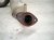2016 Toyota 4 Runner Catalytic Driver Exhaust Pipe W Conv 4.0l 4x2 17450 31190 Replacement 2016 Toyota 4 Runner Catalytic Driver Exhaust Pipe W Conv 4.0l 4x2 17450 31190 Replacement thumbnail