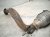 2016 Toyota 4 Runner Catalytic Driver Exhaust Pipe W Conv 4.0l 4x2 17450 31190 Replacement 2016 Toyota 4 Runner Catalytic Driver Exhaust Pipe W Conv 4.0l 4x2 17450 31190 Replacement thumbnail