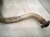 2019 Toyota Tacoma Catalytic Driver Exhaust Converter & Pipe 3.5l 17450 0P360 Replacement 2019 Toyota Tacoma Catalytic Driver Exhaust Converter & Pipe 3.5l 17450 0P360 Replacement thumbnail