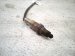 2025 Ford Explorer Oxygen Sensor 2.3l R1MZ 9F472 G Replacement 2025 Ford Explorer Oxygen Sensor 2.3l R1MZ 9F472 G Replacement thumbnail