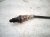 2025 Ford Explorer Oxygen Sensor 2.3l R1MZ 9F472 G Replacement 2025 Ford Explorer Oxygen Sensor 2.3l R1MZ 9F472 G Replacement thumbnail