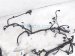 2025 Nissan Kicks Engine Room Harness W/fuse 2.0l Awd 24012 7LG0D Replacement 2025 Nissan Kicks Engine Room Harness W/fuse 2.0l Awd 24012 7LG0D Replacement thumbnail