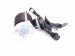 2019 Honda Civic Rear Passenger Seat Belt Retractor Black 04824 TGG A01ZA Replacement 2019 Honda Civic Rear Passenger Seat Belt Retractor Black 04824 TGG A01ZA Replacement thumbnail